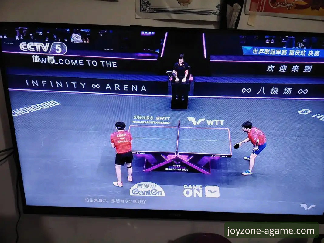 一场青春风暴的启示：WTT重庆冠军赛决赛深度评测